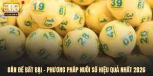 Dàn Đề Bất Bại - Phương Pháp Nuôi Số Hiệu Quả Nhất 2026