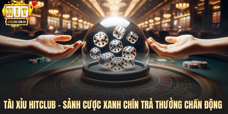 Tài Xỉu Hitclub - Sảnh Cược Xanh Chín Trả Thưởng Chấn Động