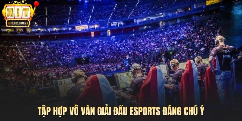 Tập hợp vô vàn giải đấu Esports đáng chú ý