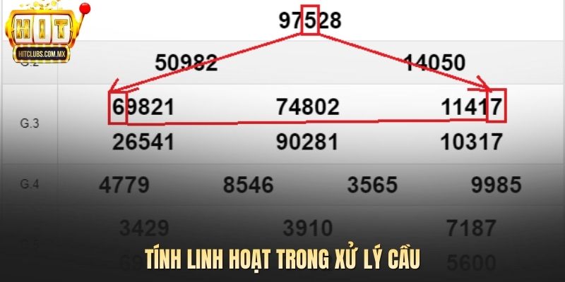 Tính linh hoạt trong xử lý cầu